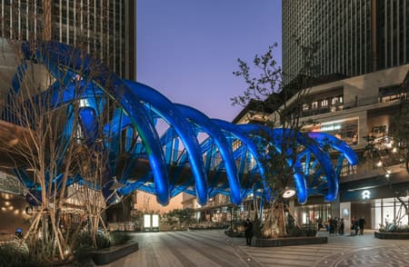Light Vortex Bridge